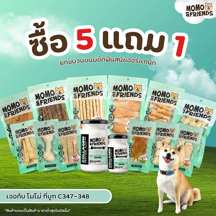 Pet Expo Thailand & Pet Expo Championship