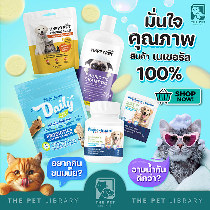 Pet Expo Thailand & Pet Expo Championship