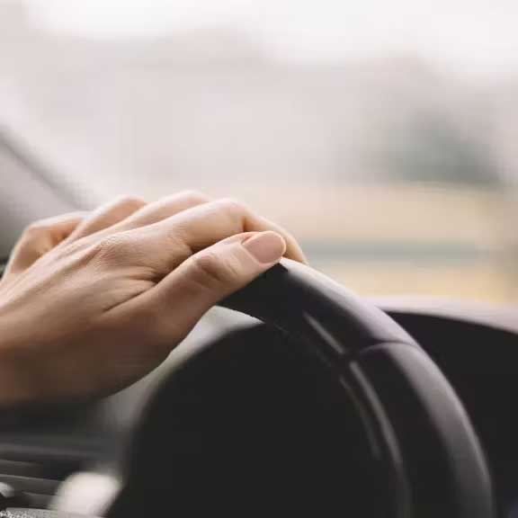 Pet Expo Thailand & Pet Expo Championship