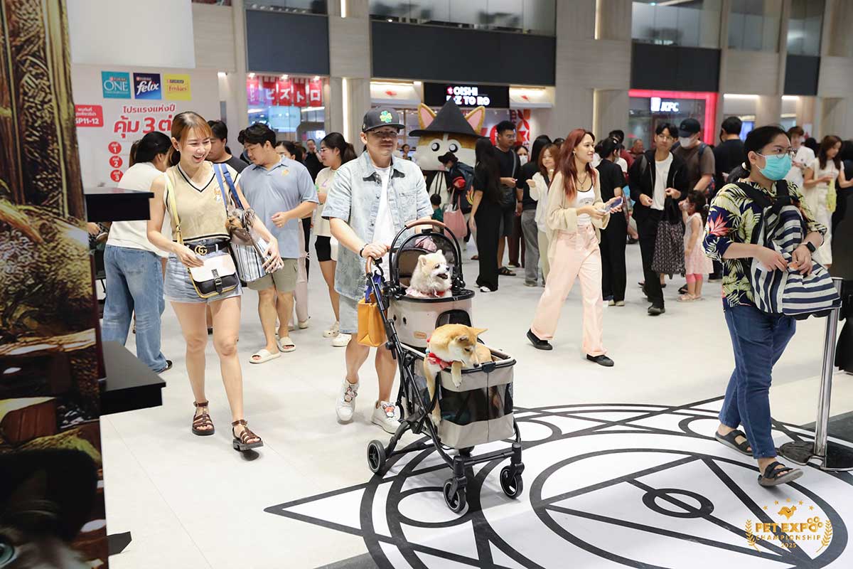 Pet Expo Championship