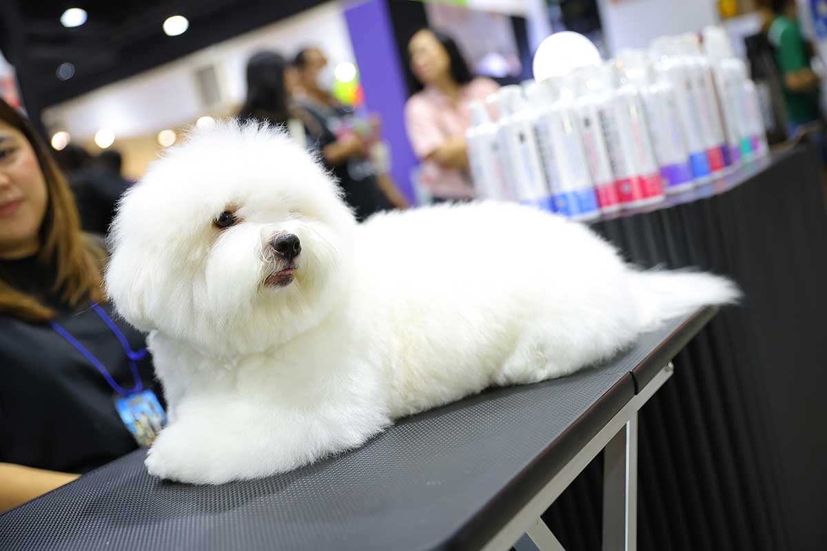 Pet Expo Thailand & Pet Expo Championship