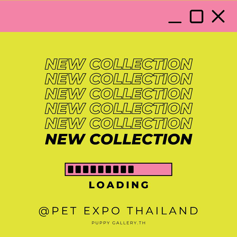 Pet Expo Thailand & Pet Expo Championship