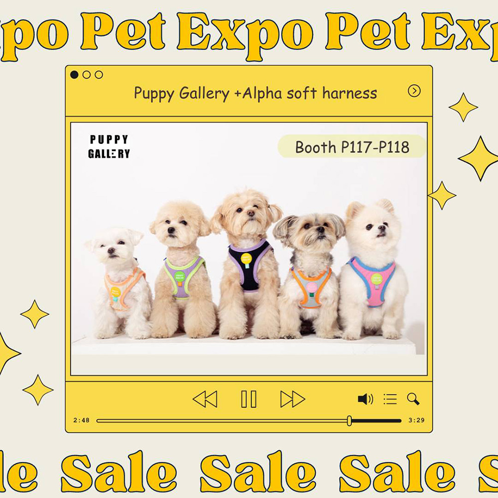 Pet Expo Thailand & Pet Expo Championship