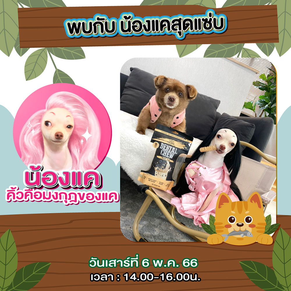 Pet Expo Thailand & Pet Expo Championship