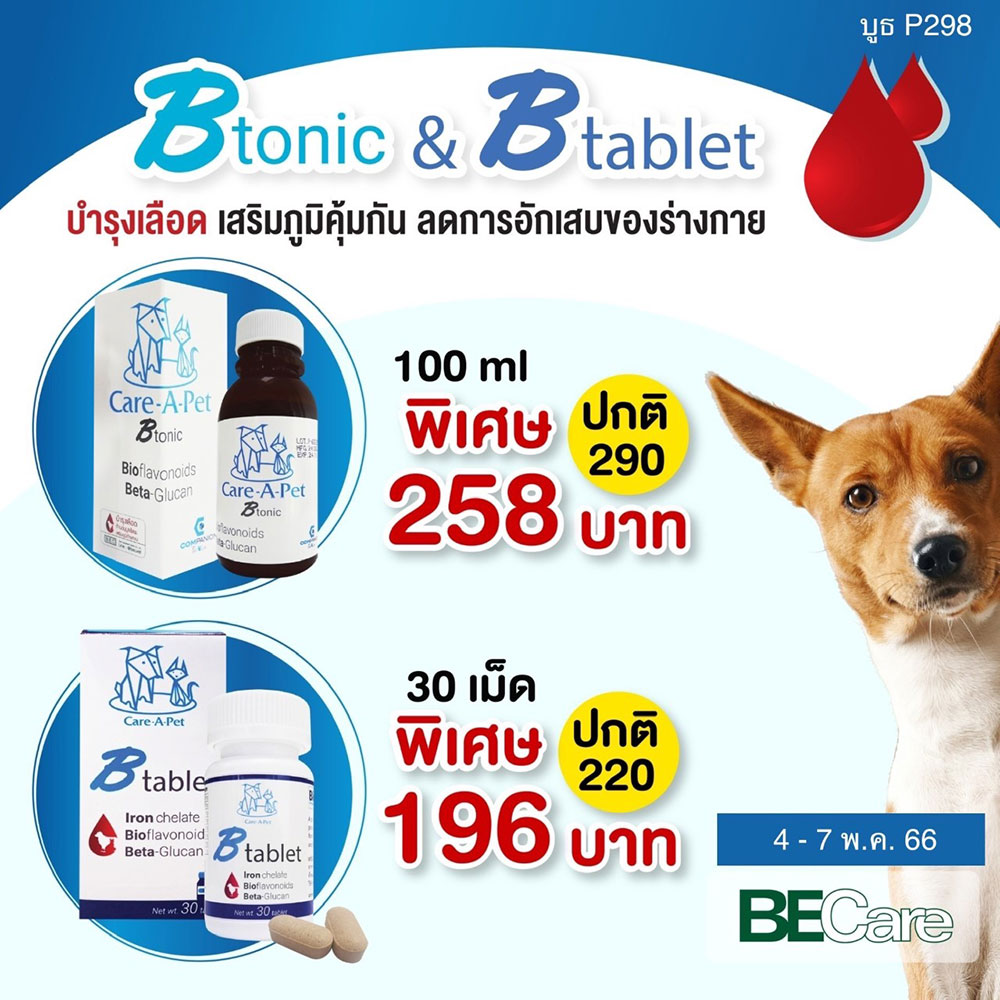 Pet Expo Thailand & Pet Expo Championship