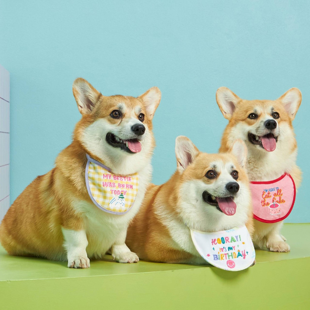Pet Expo Thailand & Pet Expo Championship