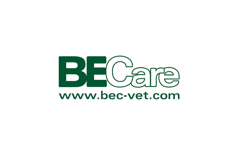 Pet Expo Thailand & Pet Expo Championship