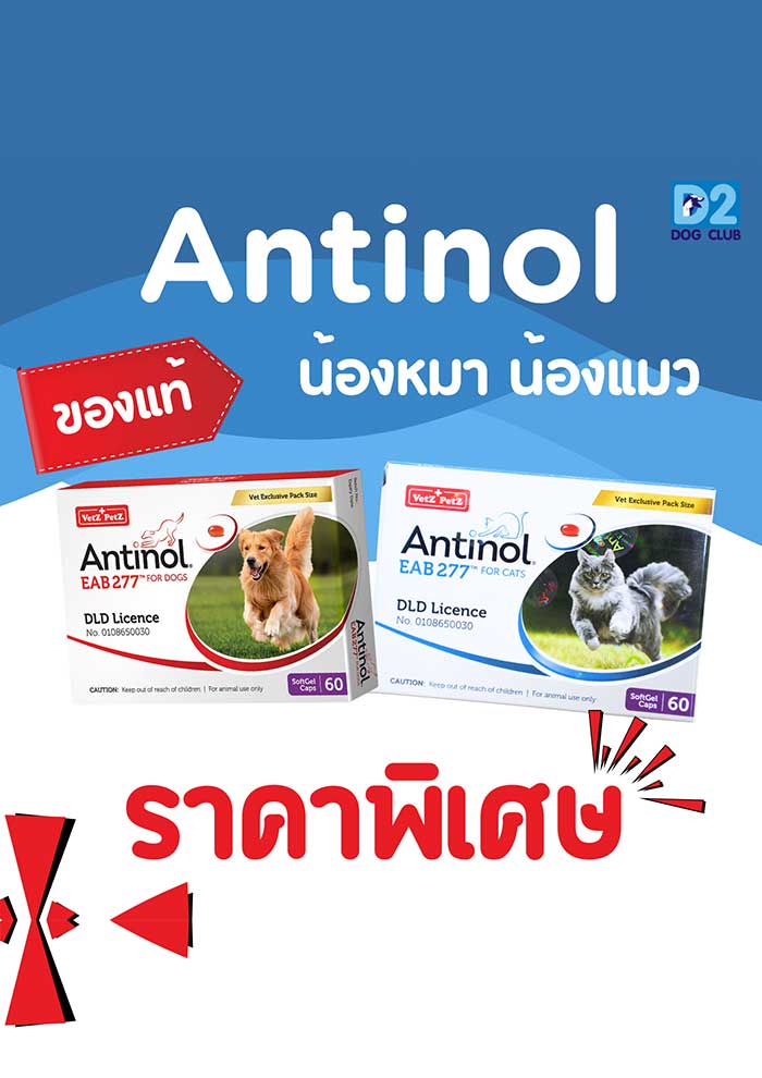 Pet Expo Thailand & Pet Expo Championship
