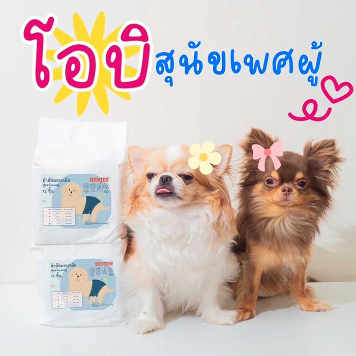 Pet Expo Thailand & Pet Expo Championship