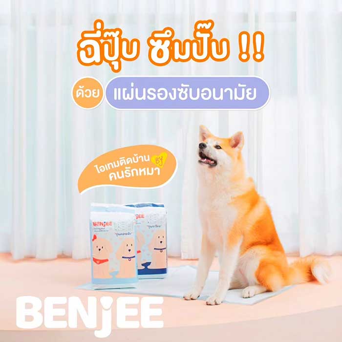 Pet Expo Thailand & Pet Expo Championship