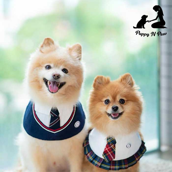 Pet Expo Thailand & Pet Expo Championship