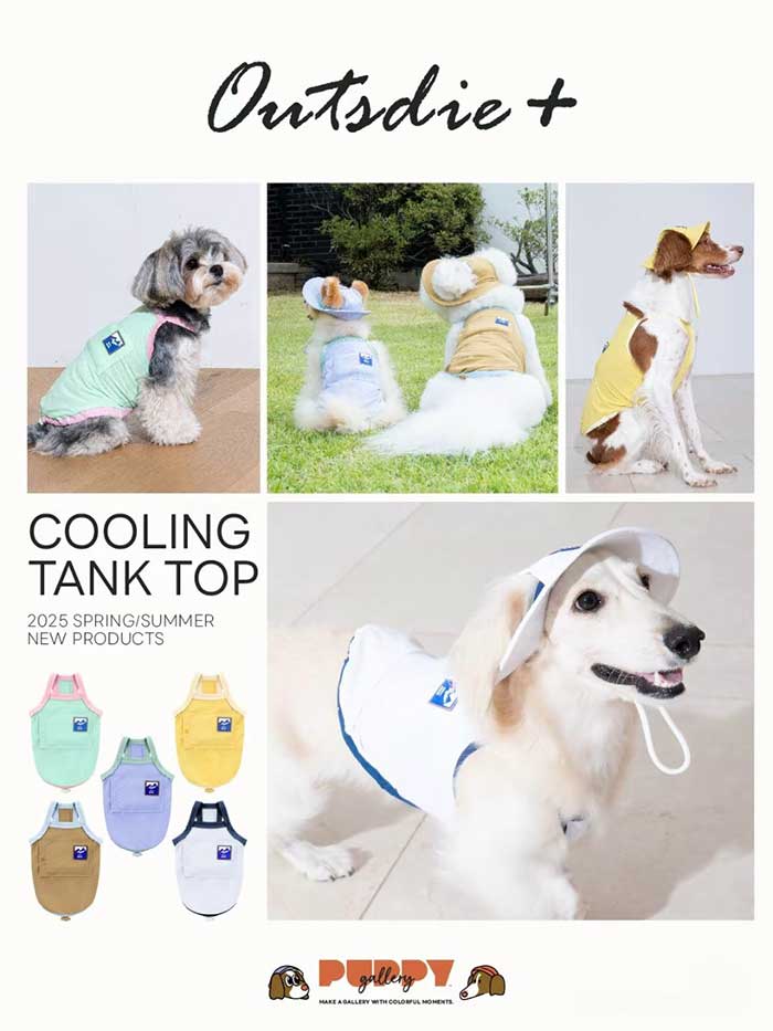 Pet Expo Thailand & Pet Expo Championship