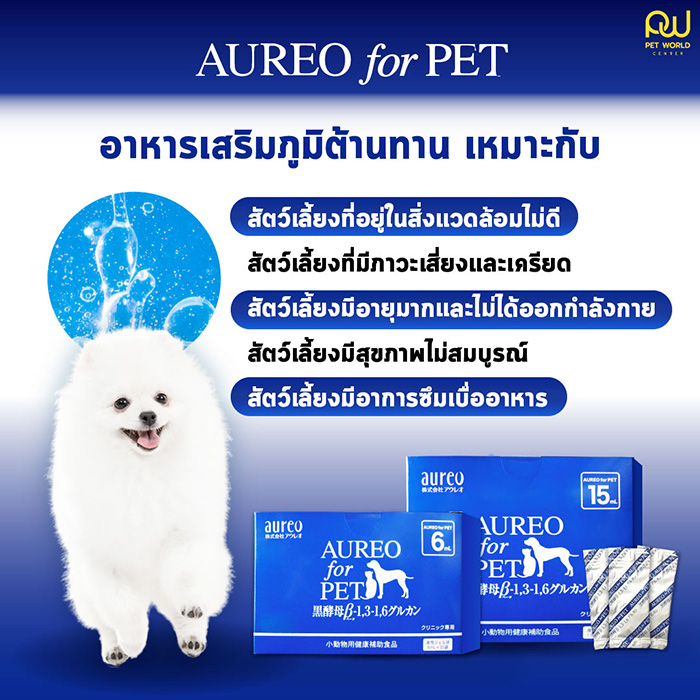 Pet Expo Thailand & Pet Expo Championship