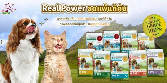 Pet Expo Thailand & Pet Expo Championship