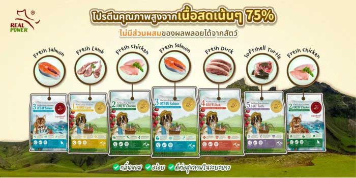 Pet Expo Thailand & Pet Expo Championship