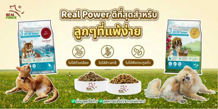 Pet Expo Thailand & Pet Expo Championship