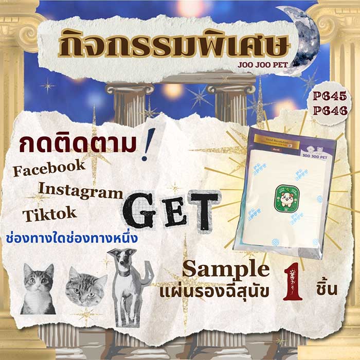 Pet Expo Thailand & Pet Expo Championship