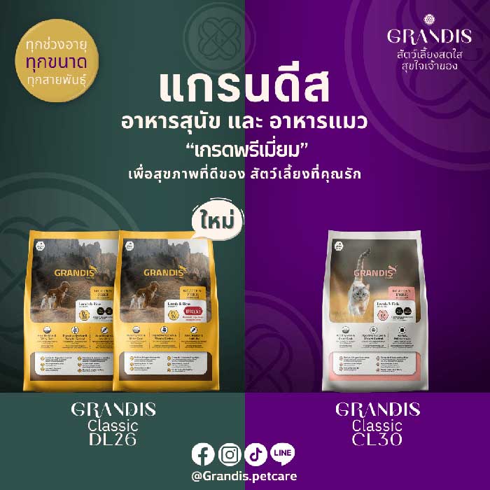 Pet Expo Thailand & Pet Expo Championship
