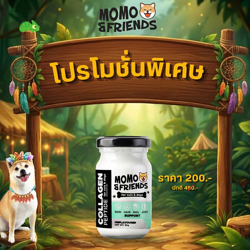 Pet Expo Championship
