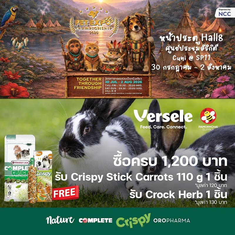 Pet Expo Championship