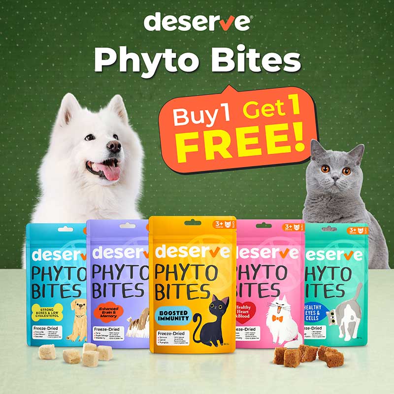 Pet Expo Thailand