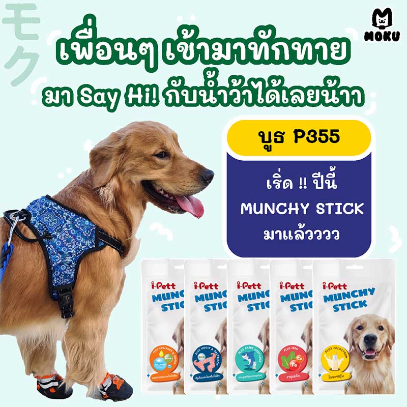 Pet Expo Thailand