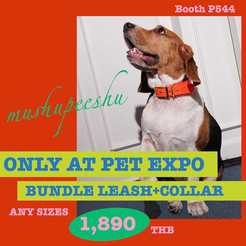 Pet Expo Thailand