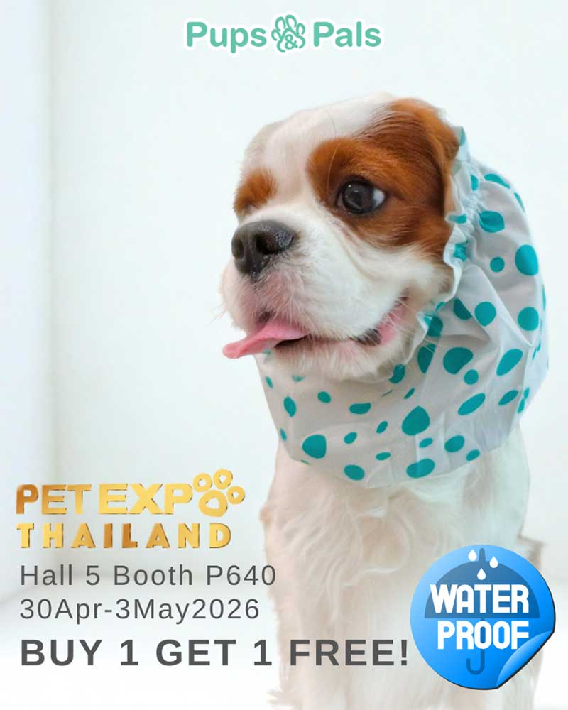 Pet Expo Thailand