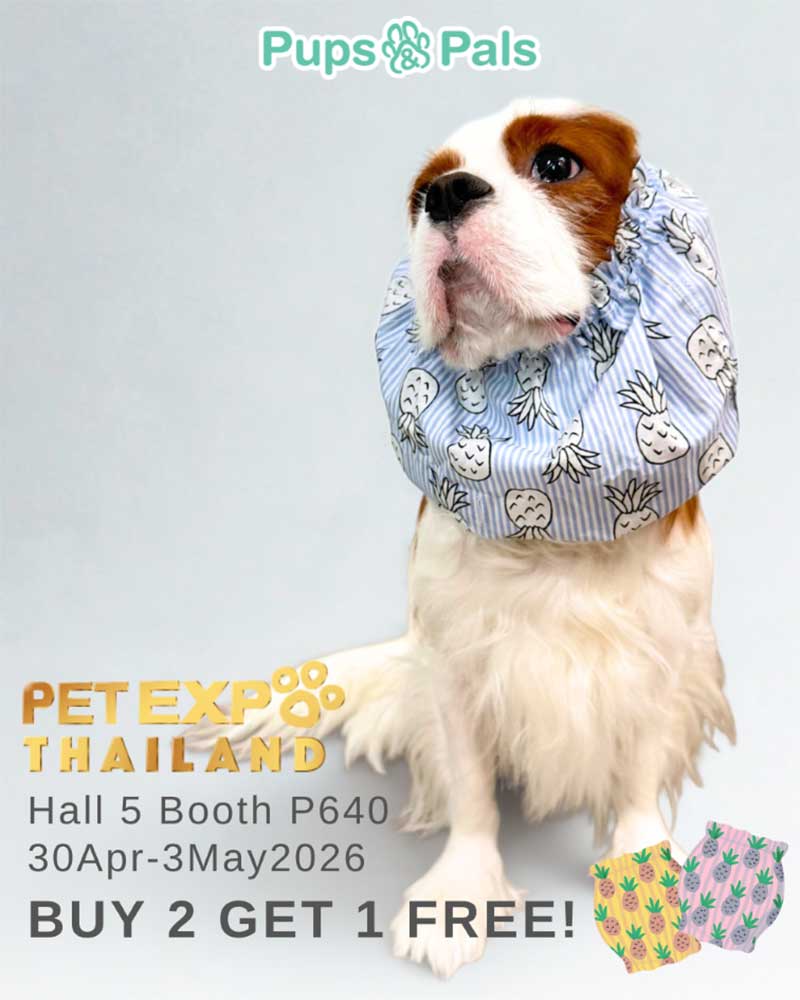 Pet Expo Thailand