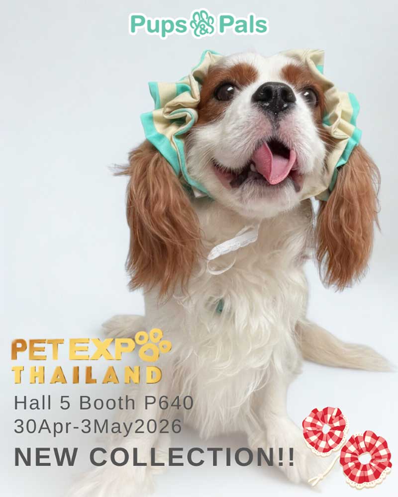 Pet Expo Thailand