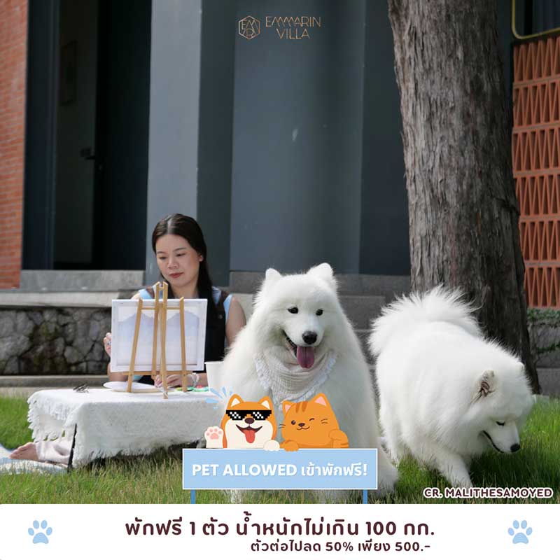 Pet Expo Thailand
